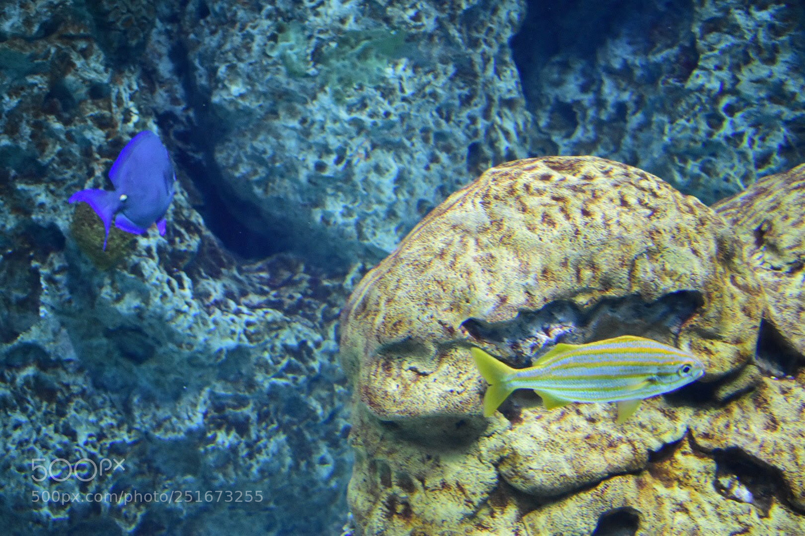 Nikon D7200 sample photo. Img photography
