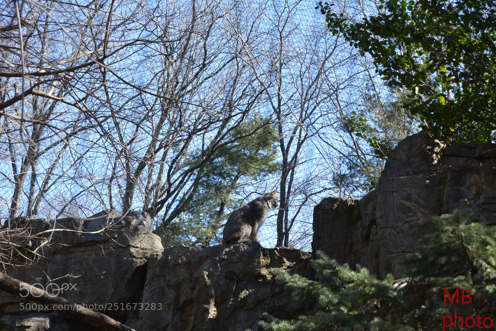 Nikon D5200 sample photo. Untitled photography