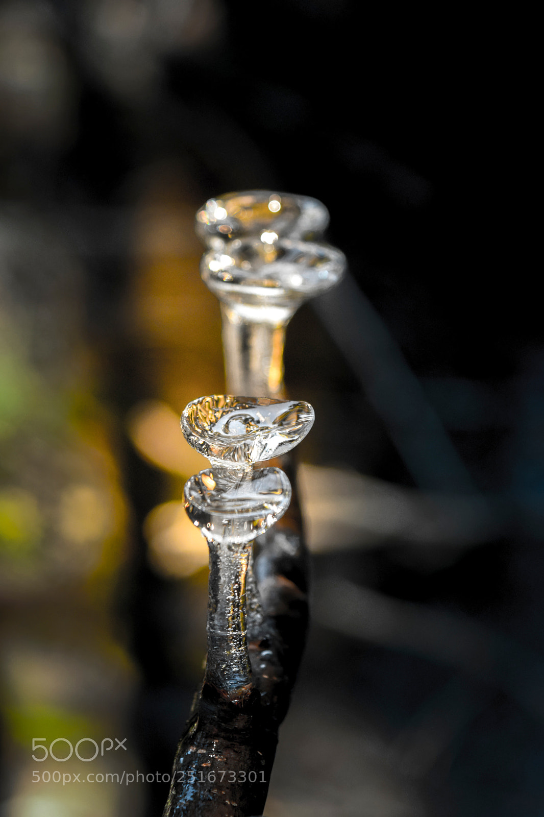Nikon D5300 sample photo. Ice cups photography