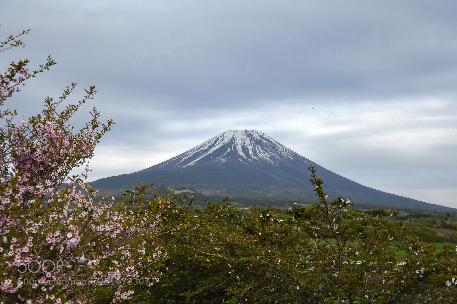 Nikon D500 sample photo. Mt fuji photography