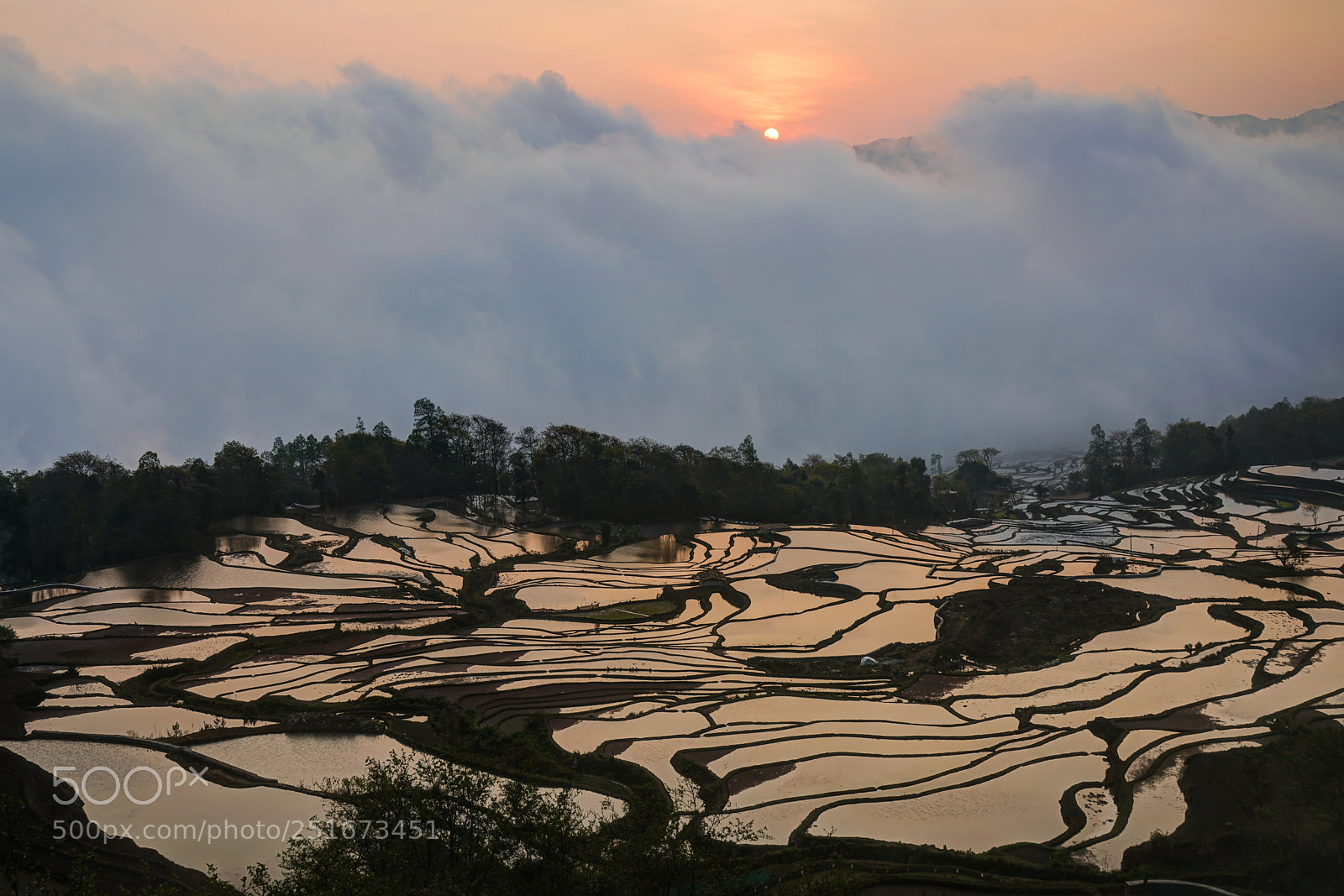 Sony a7R II sample photo. Idyllic photography