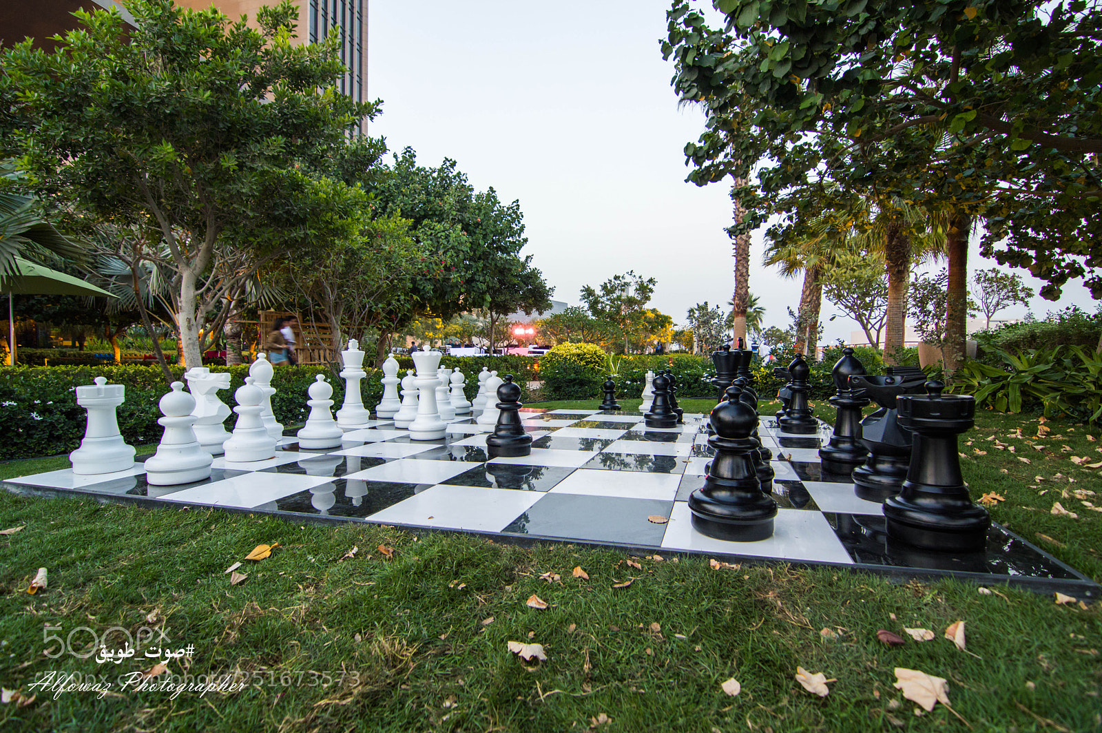 Nikon D3200 sample photo. Untitled photography