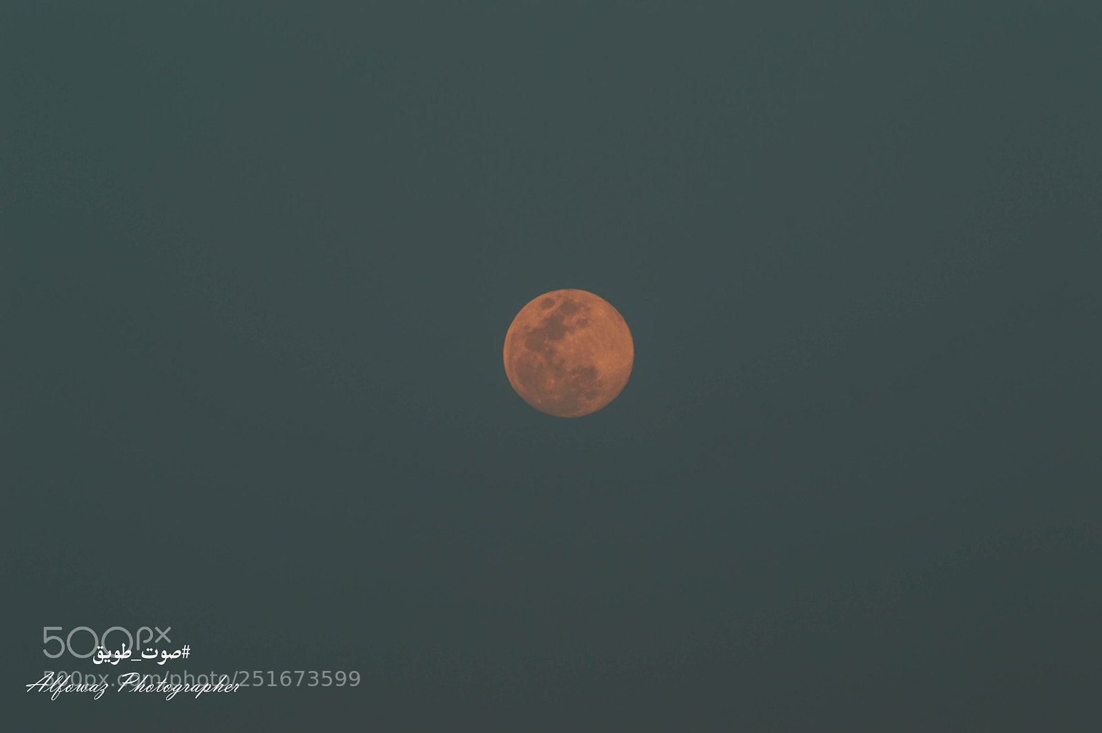 Nikon D3200 sample photo. Untitled photography