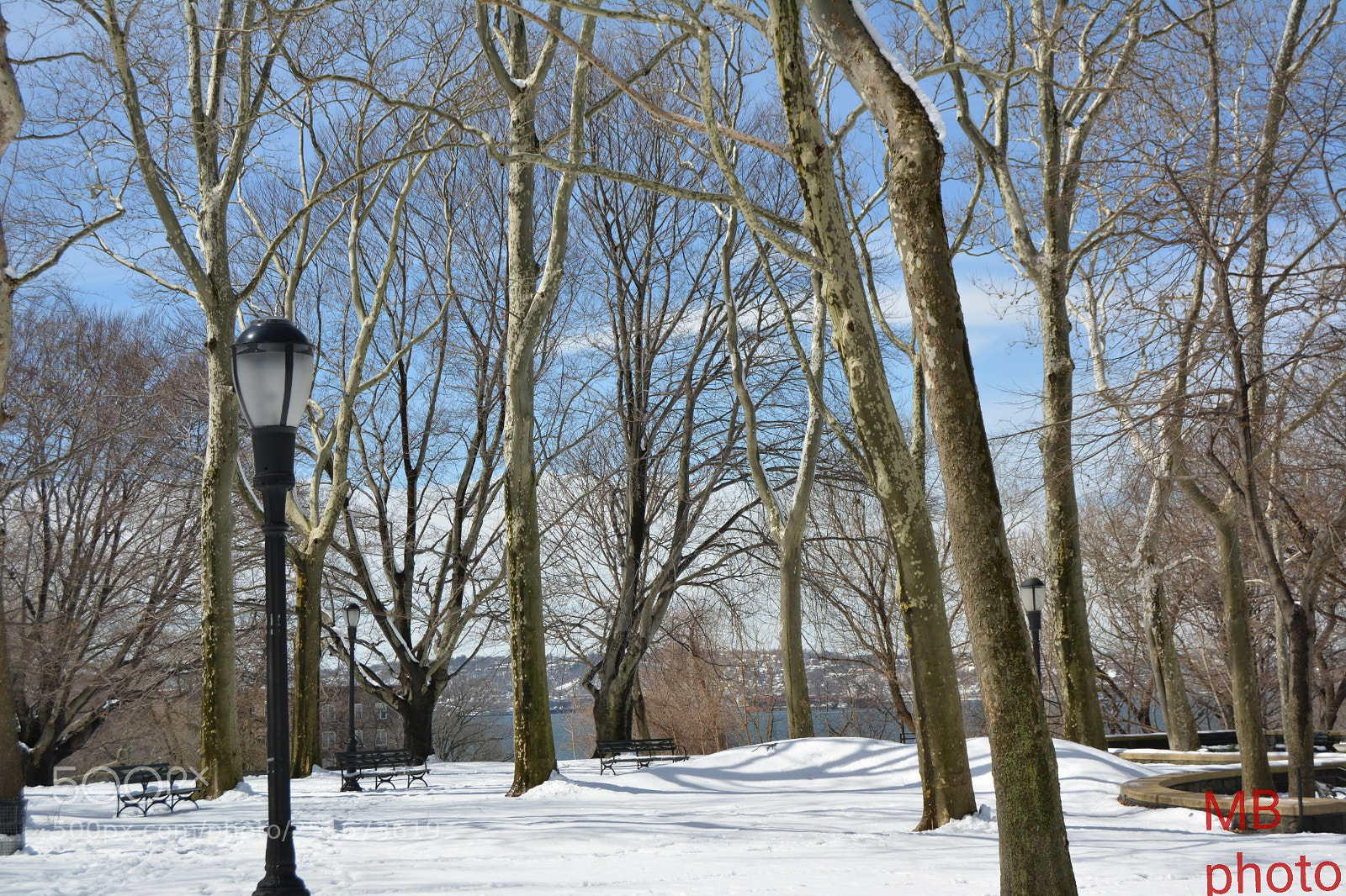 Nikon D5200 sample photo. Untitled photography