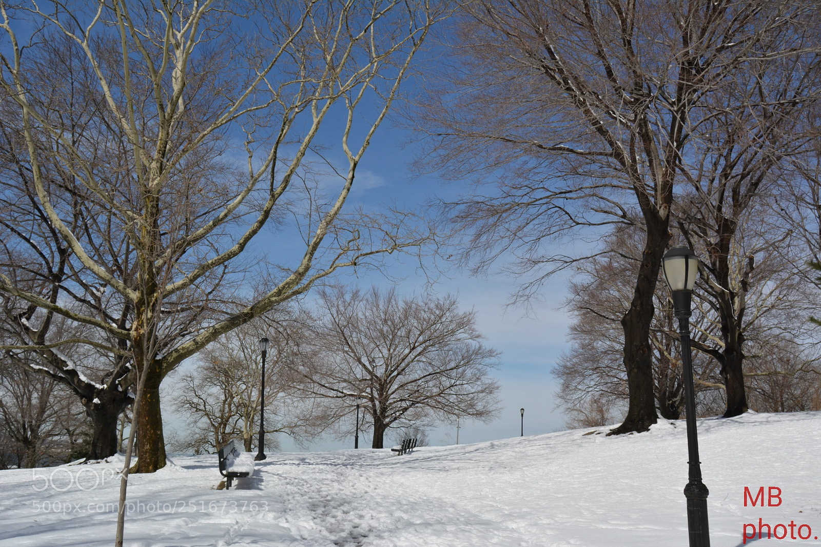 Nikon D5200 sample photo. Untitled photography