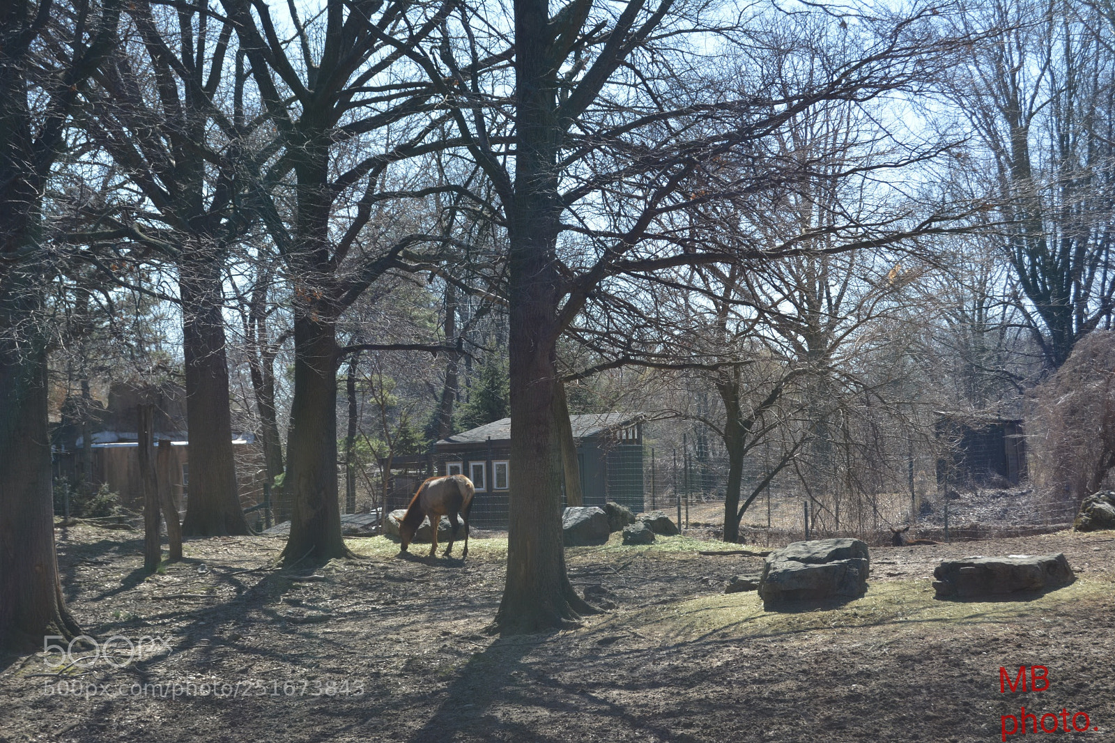 Nikon D5200 sample photo. Untitled photography