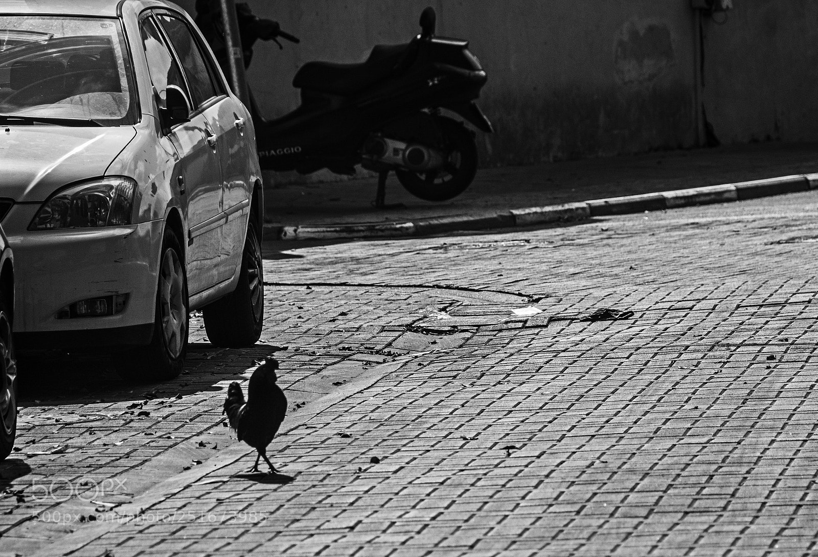 Nikon D7100 sample photo. Safely. photography
