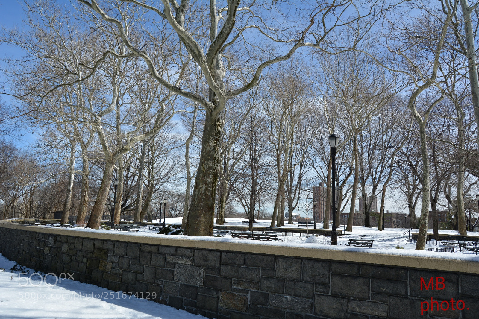 Nikon D5200 sample photo. Untitled photography