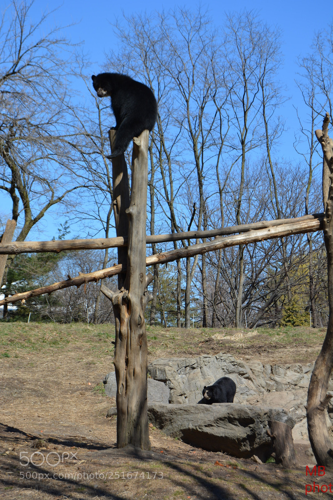 Nikon D5200 sample photo. Untitled photography