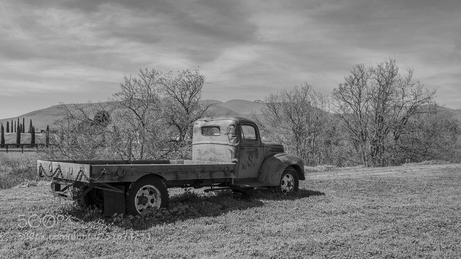Fujifilm X-T2 sample photo. Found off road, dead #2 photography