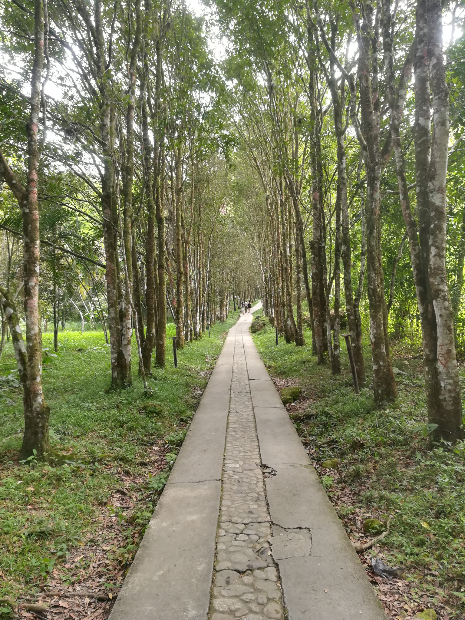 HUAWEI MATE 9 LITE sample photo. Camino de libertad photography