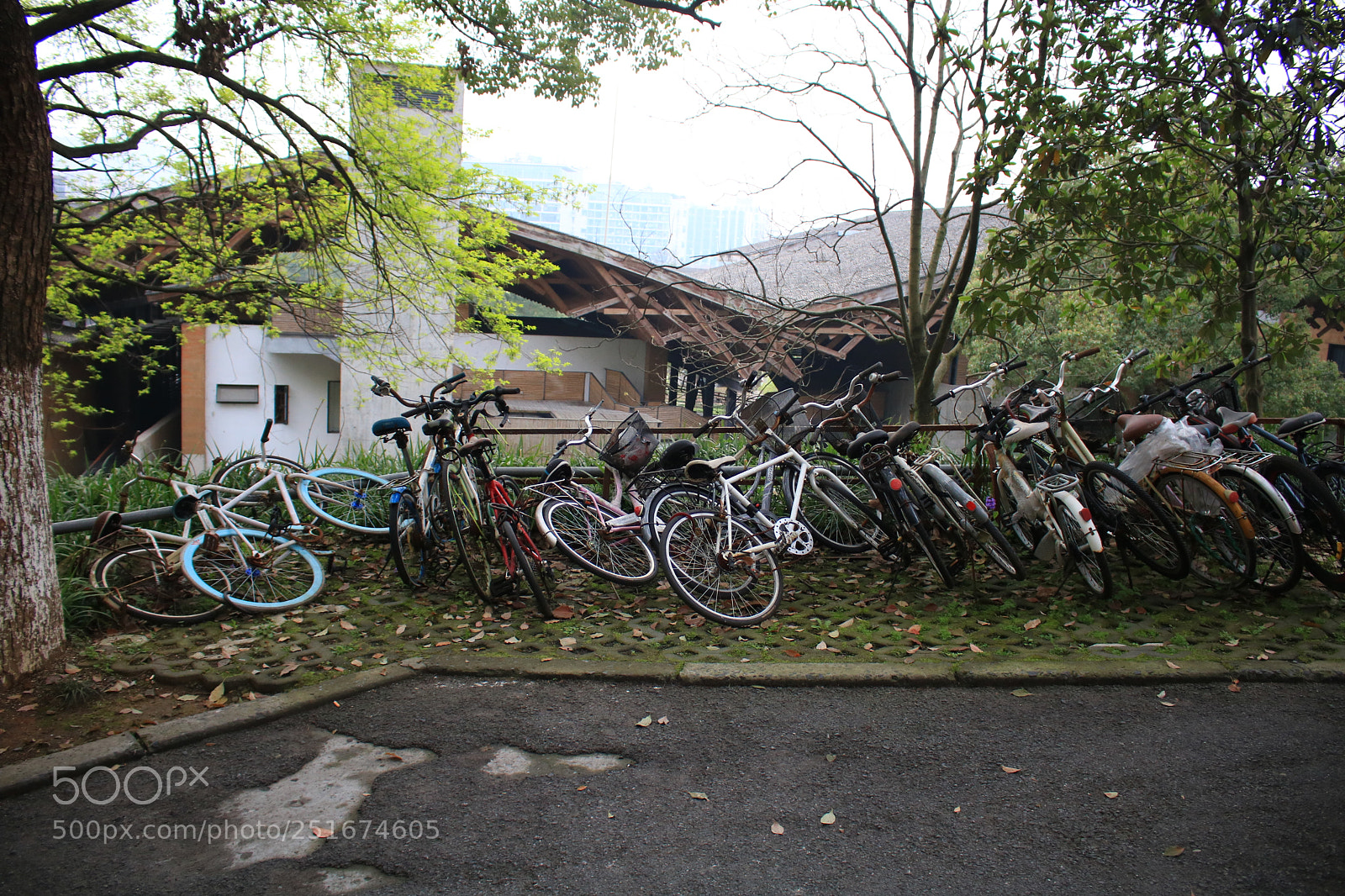 Canon EOS 750D (EOS Rebel T6i / EOS Kiss X8i) sample photo. Untitled photography