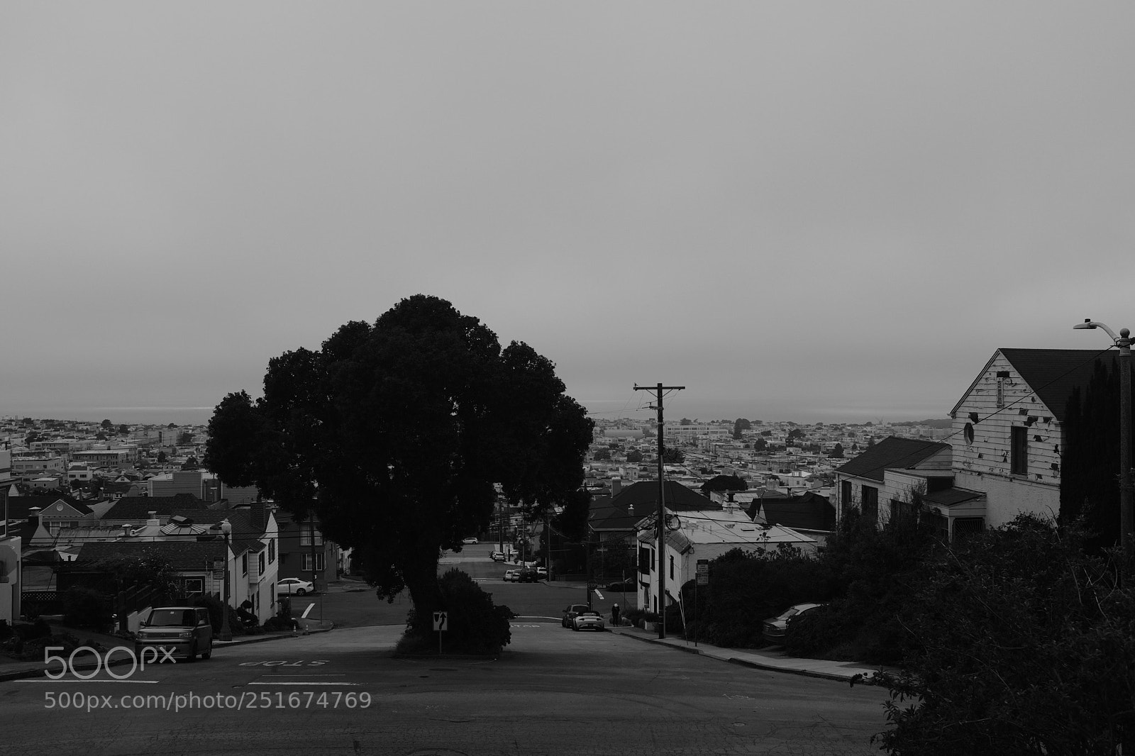 Fujifilm X100F sample photo. A tree in a photography