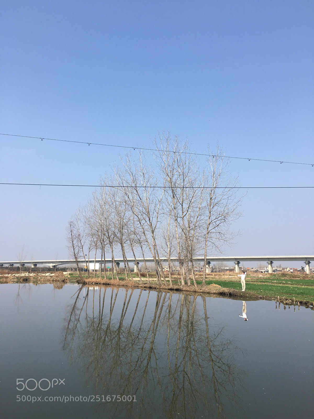 Apple iPhone 6s sample photo. Untitled photography