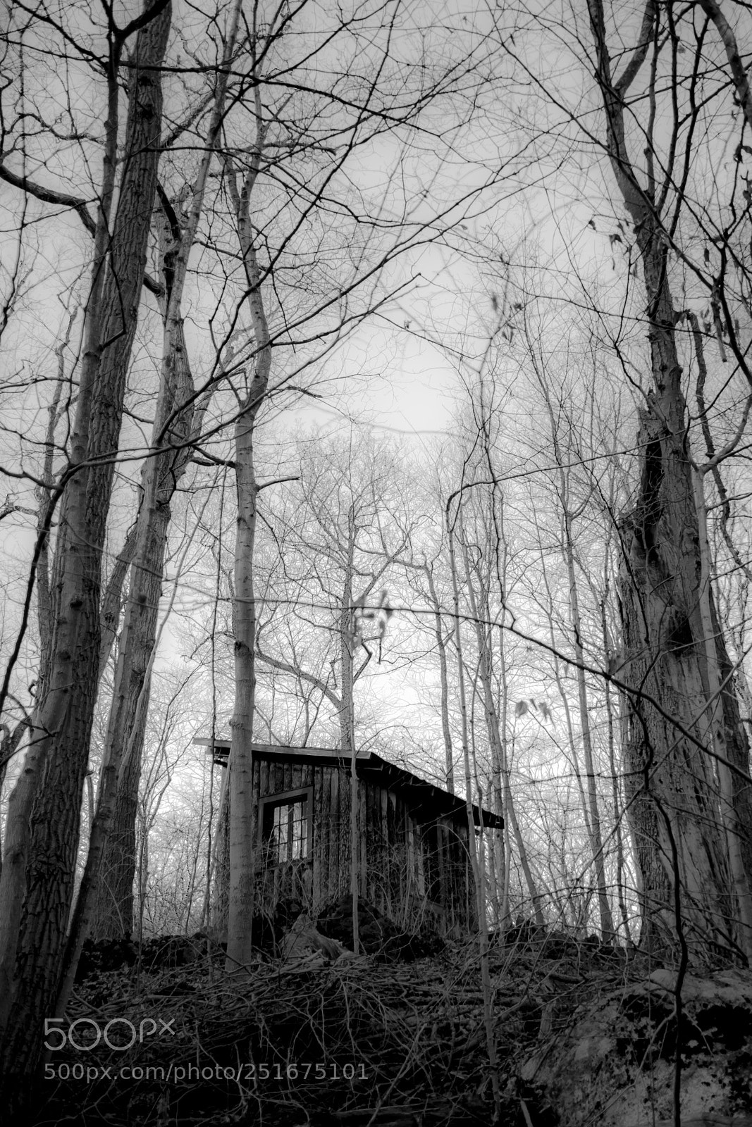 Nikon D5500 sample photo. The shed photography