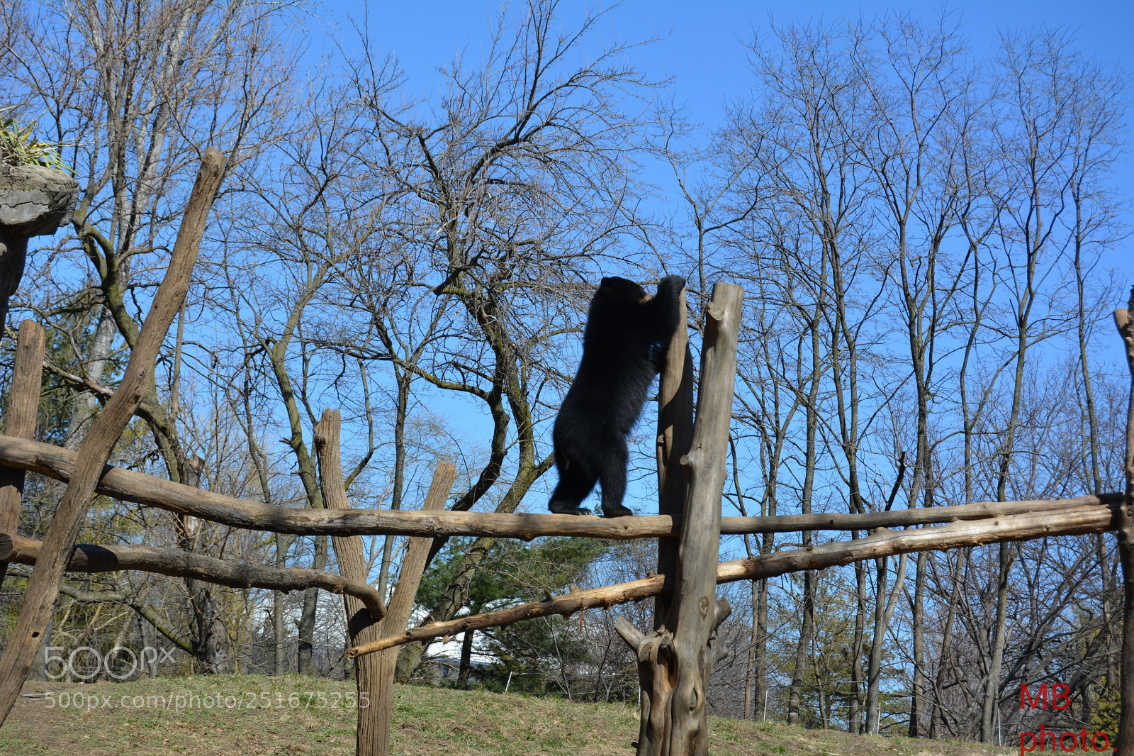 Nikon D5200 sample photo. Untitled photography