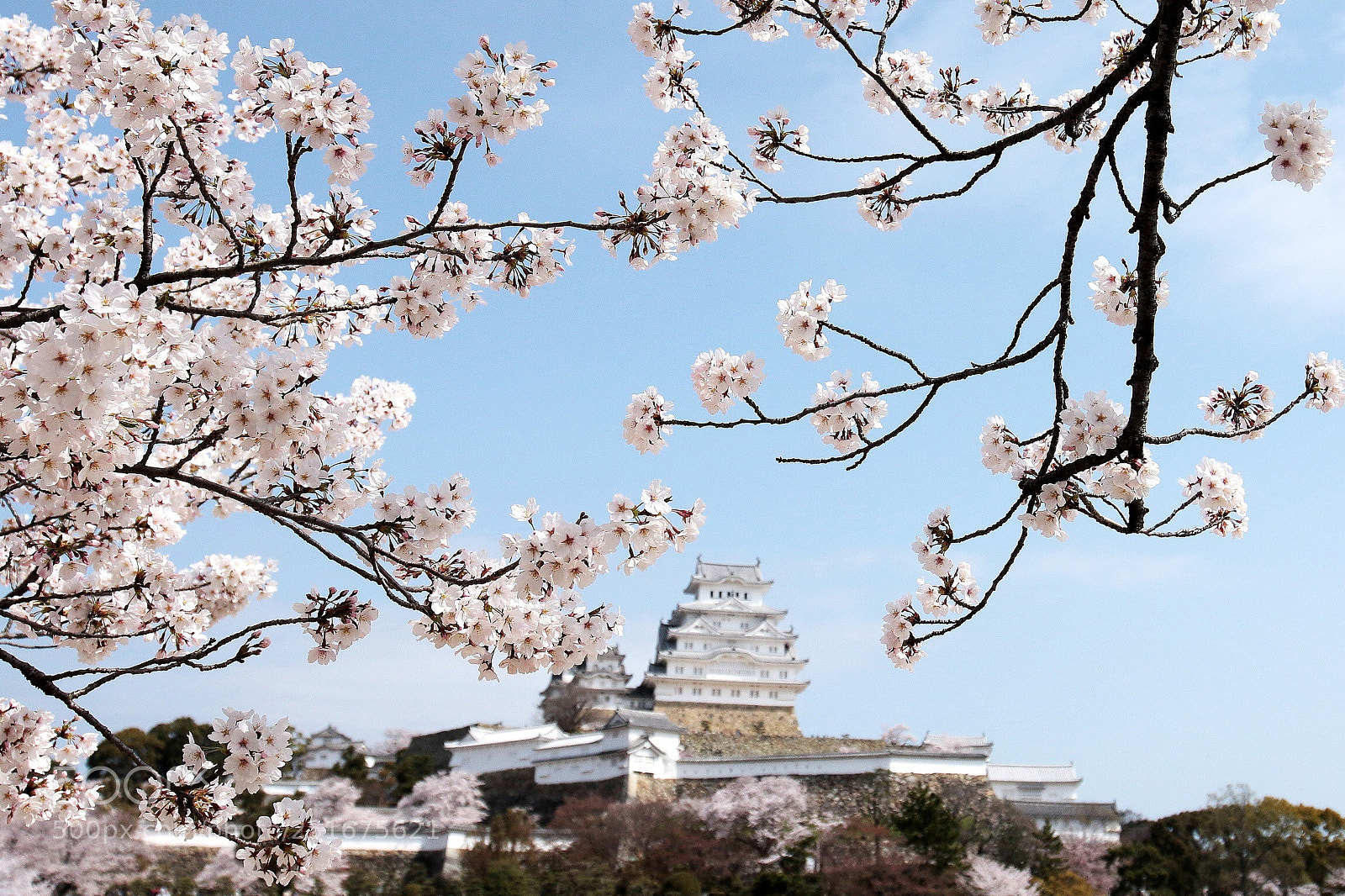 Canon EOS 70D sample photo. The himeji photography