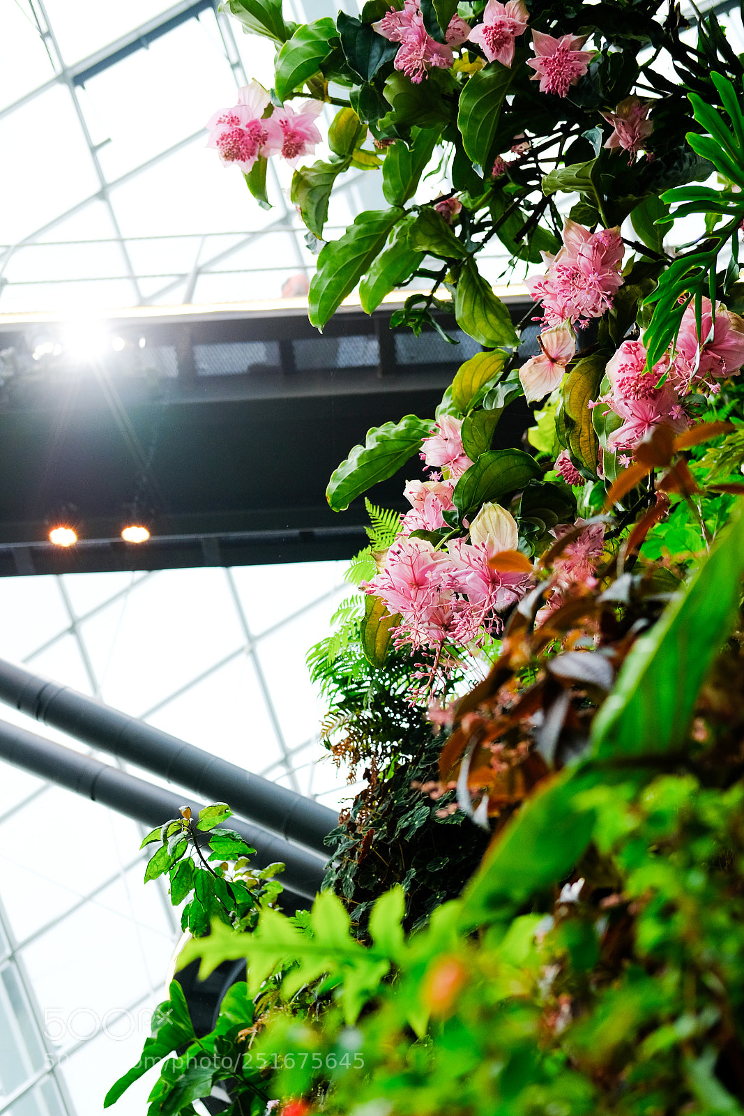 Fujifilm X-T20 sample photo. Dscf photography