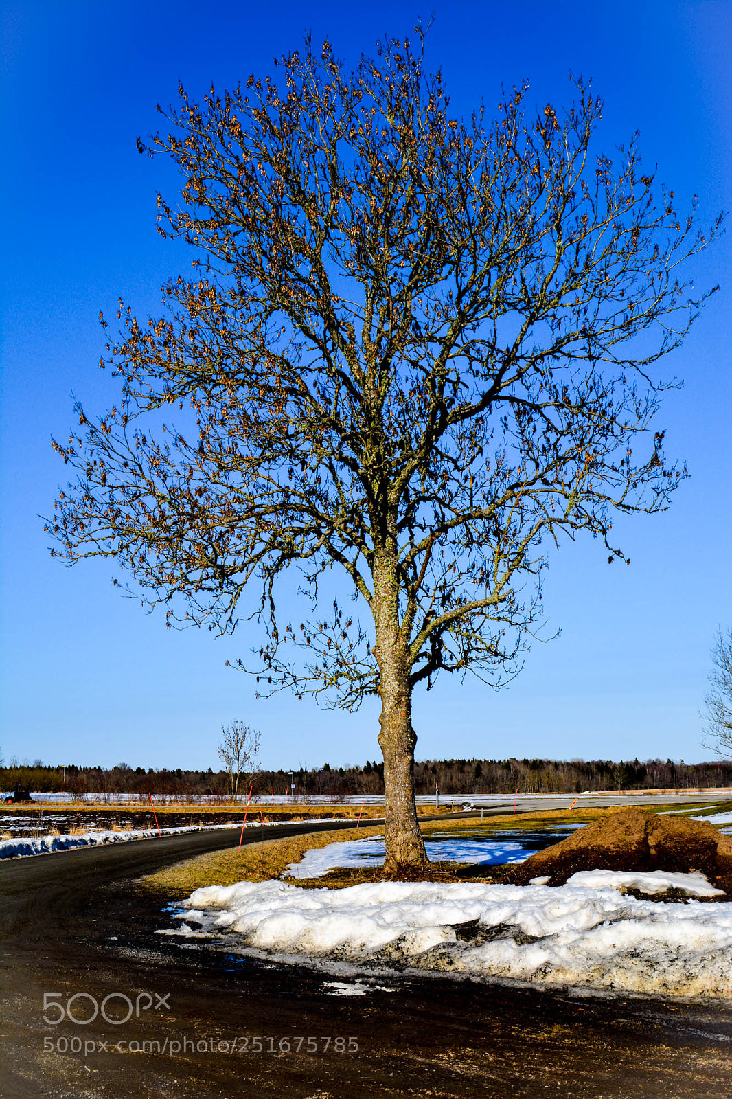 Nikon D5200 sample photo. Ready for summertime. photography