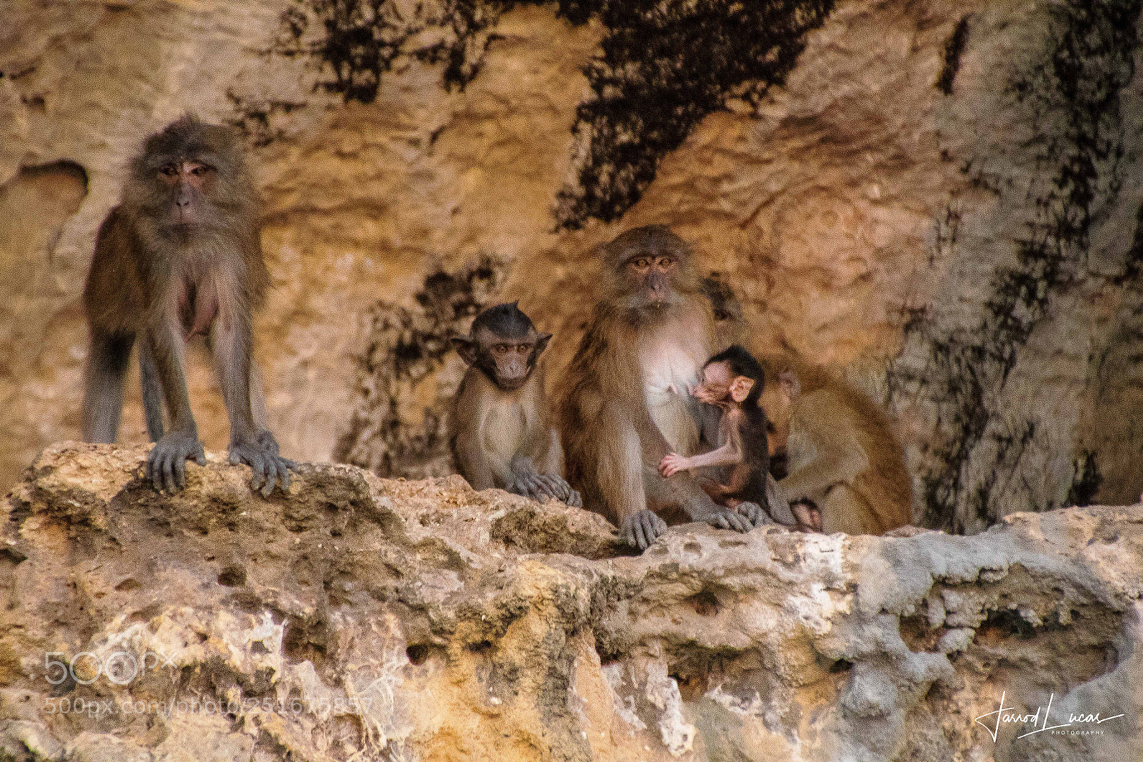 Canon EOS 7D Mark II sample photo. Hanging on a cliff photography
