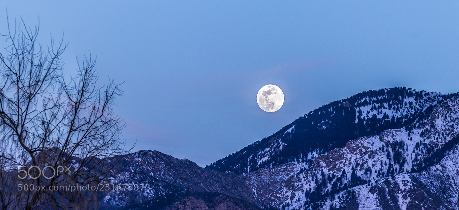 Canon EOS 80D sample photo. When the moon comes photography