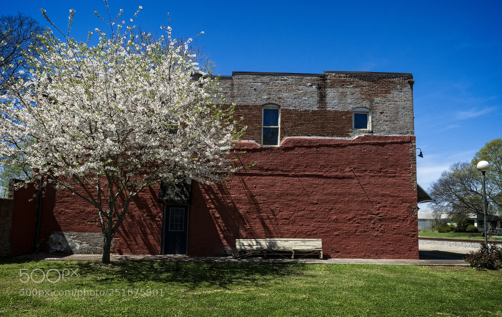 Olympus OM-D E-M1 Mark II sample photo. Alabama spring photography