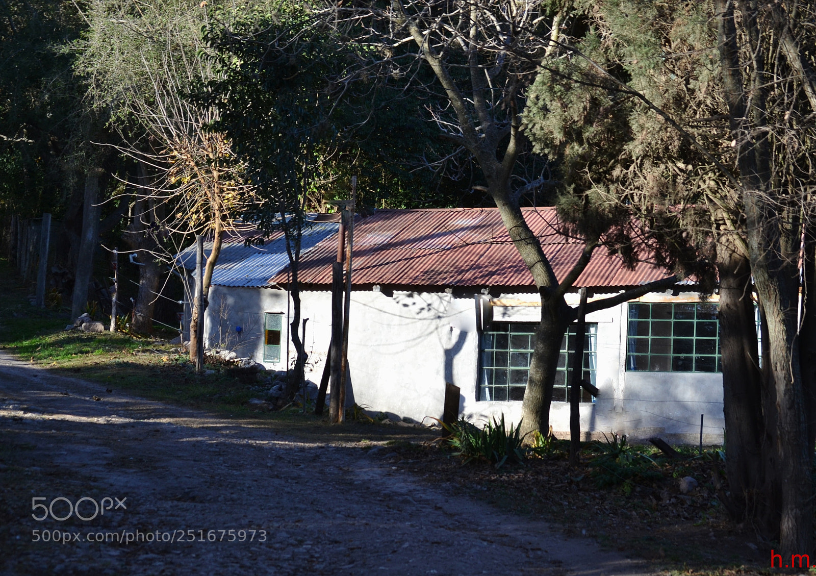 Nikon D3100 sample photo. Edfeo () photography