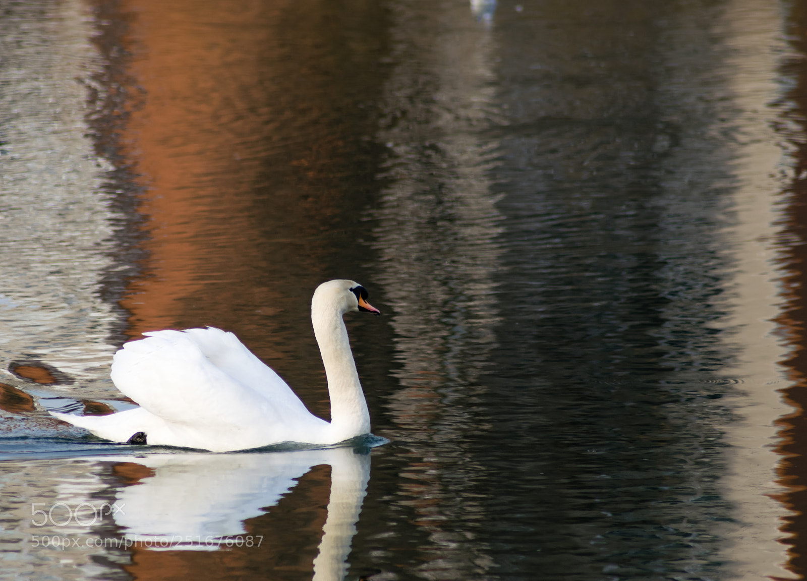 Nikon D5300 sample photo. Perfect reflection photography
