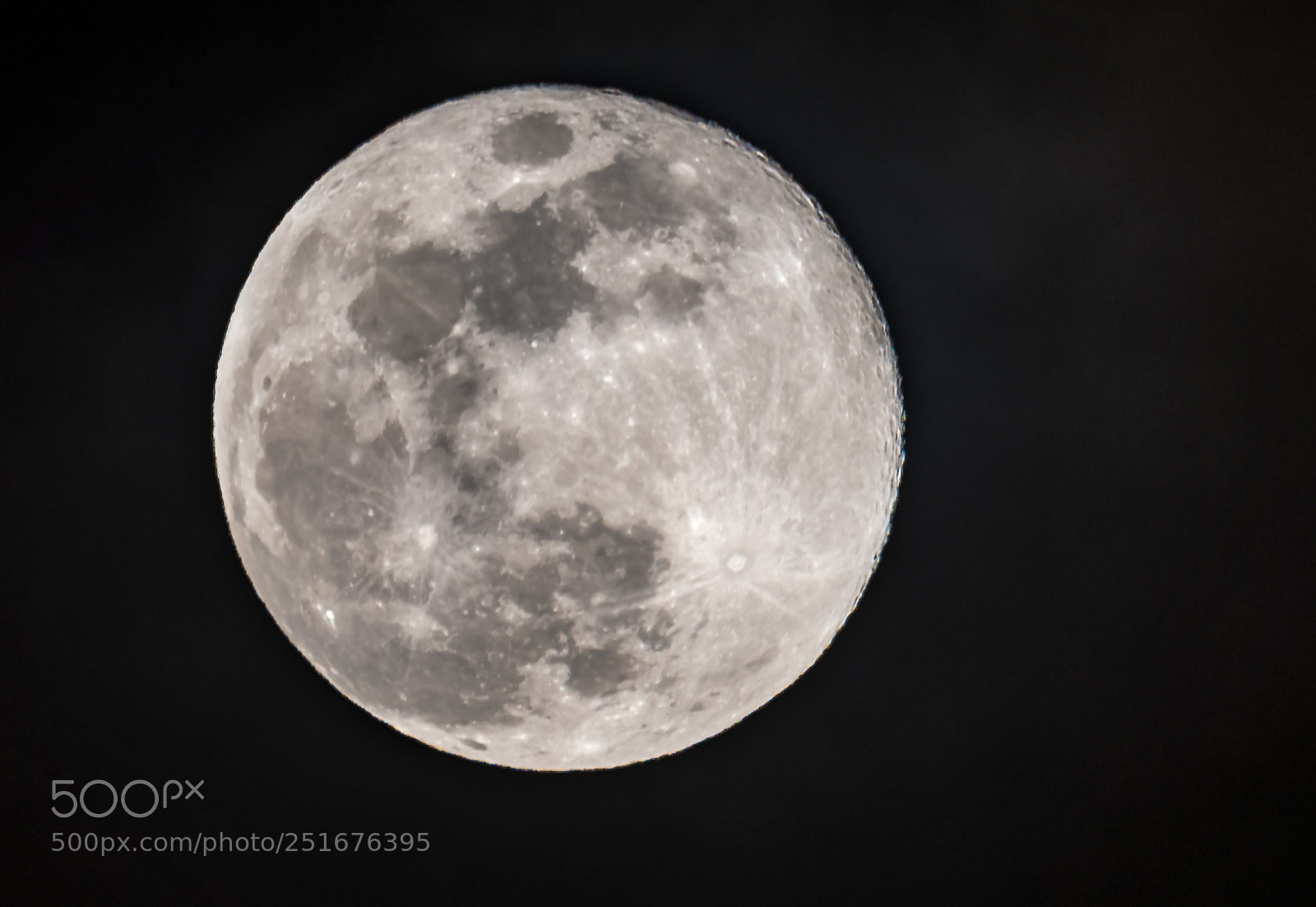 Nikon D500 sample photo. Full sap moon photography