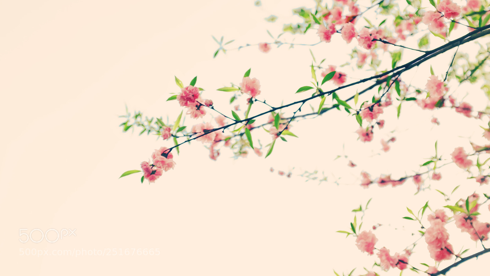 Fujifilm X100S sample photo. Spring photography