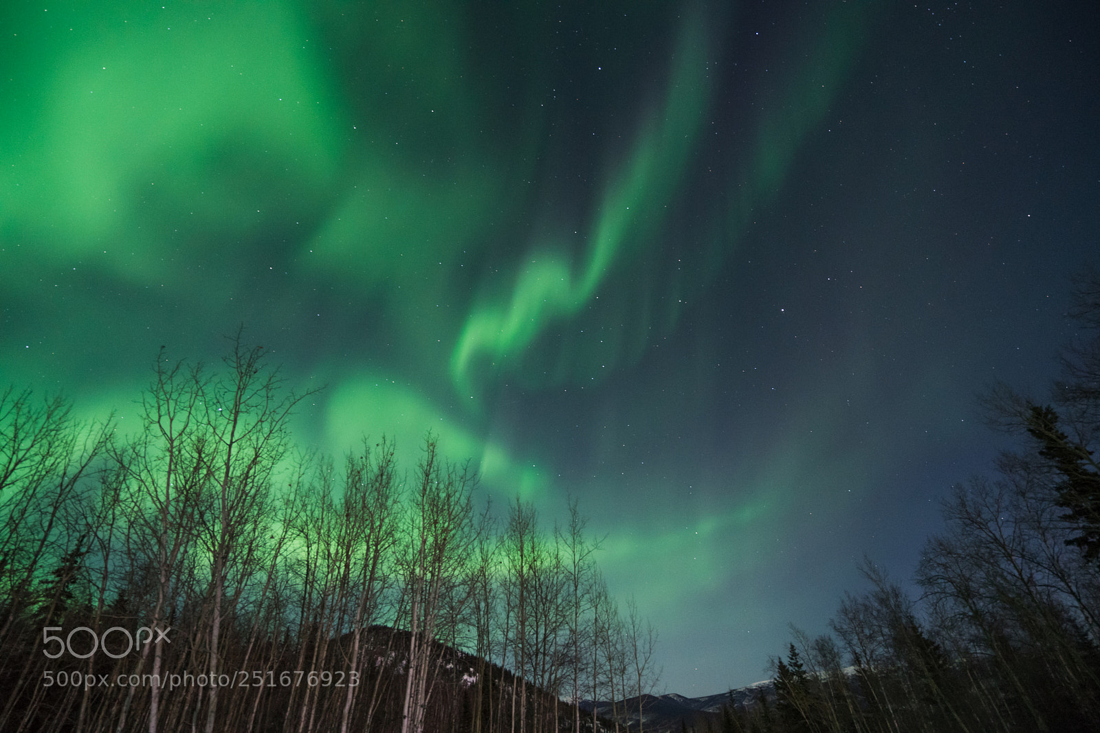 Sony a7R II sample photo. Dsc photography