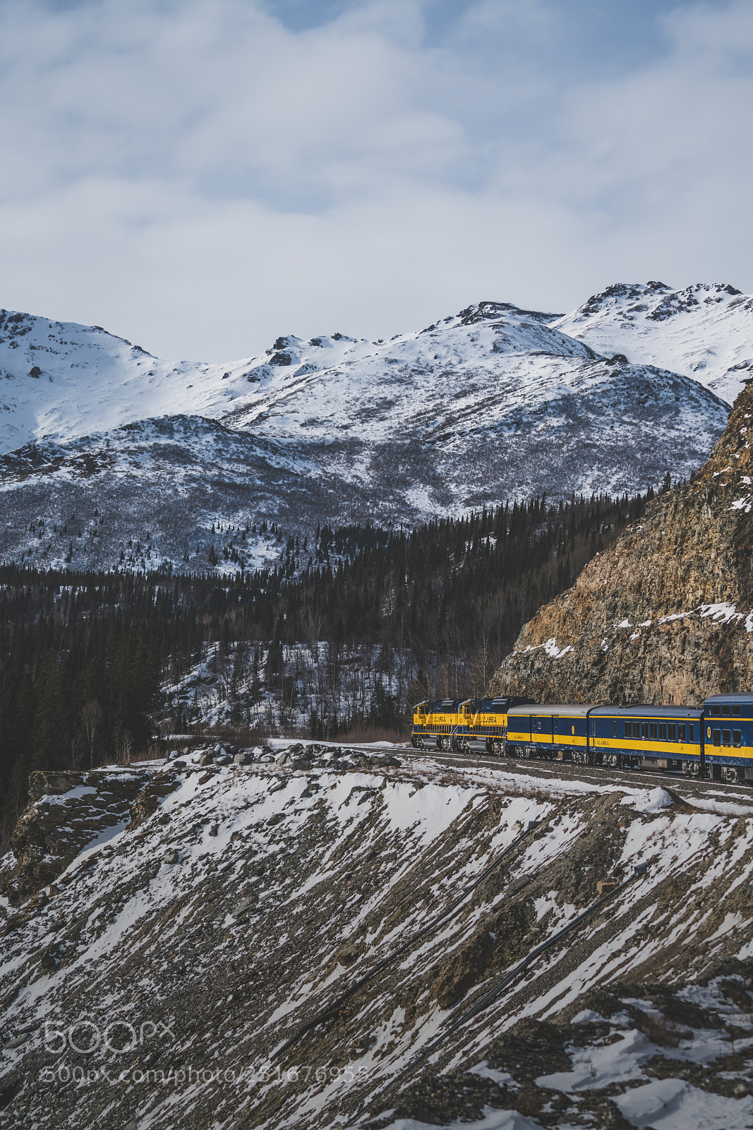 Sony a7R II sample photo. Dsc photography