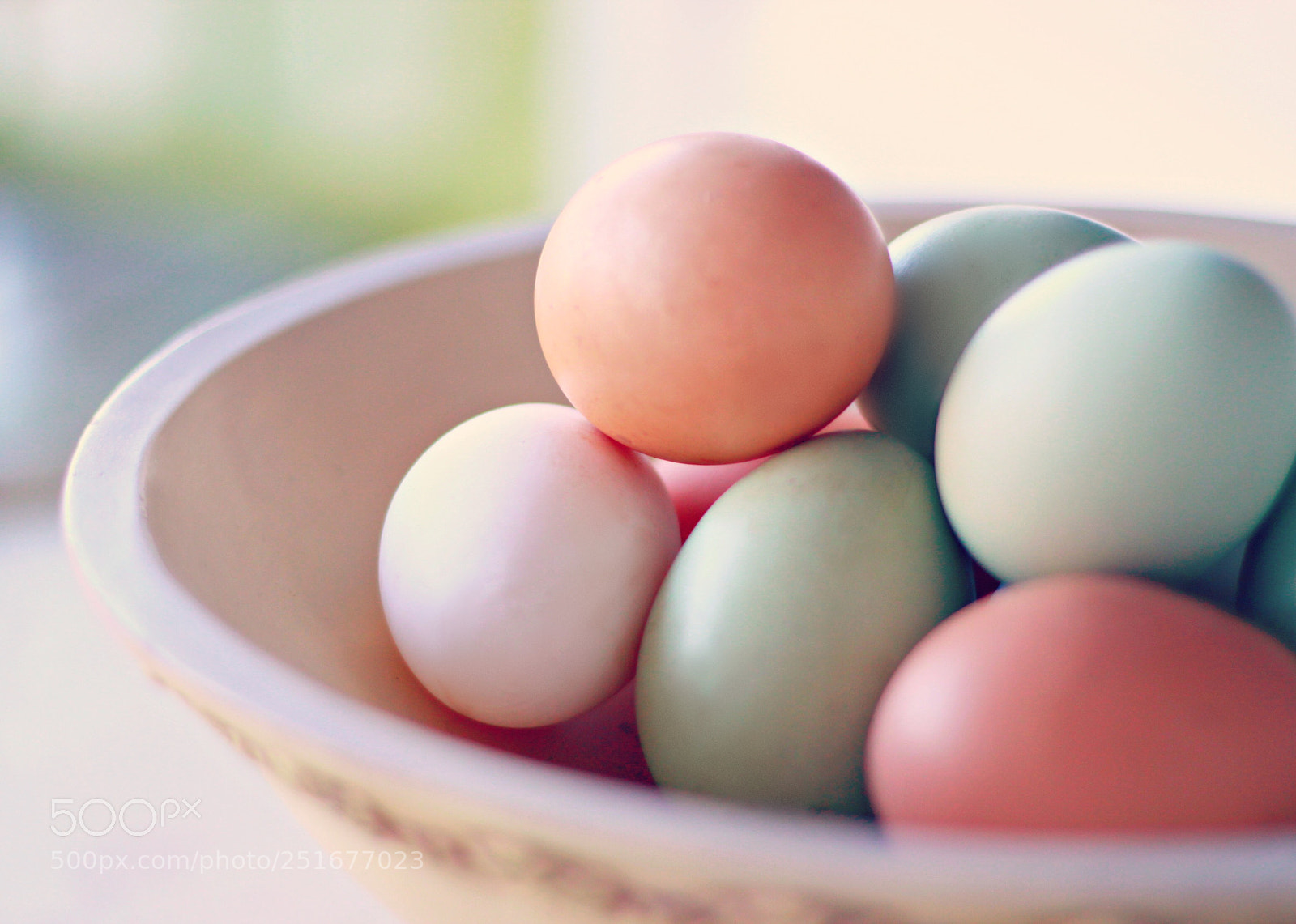 Canon EOS 50D sample photo. Untitled photography