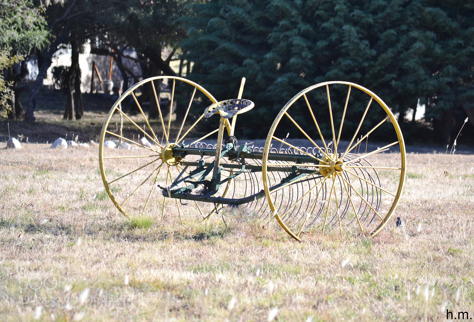 Nikon D3100 sample photo. Ddde o photography
