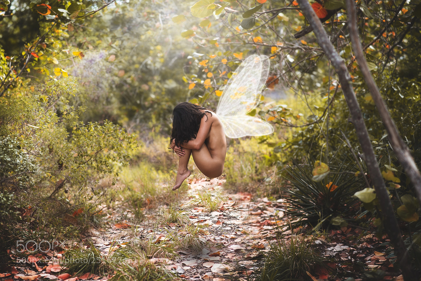 Nikon D600 sample photo. Woodland fairy... photography