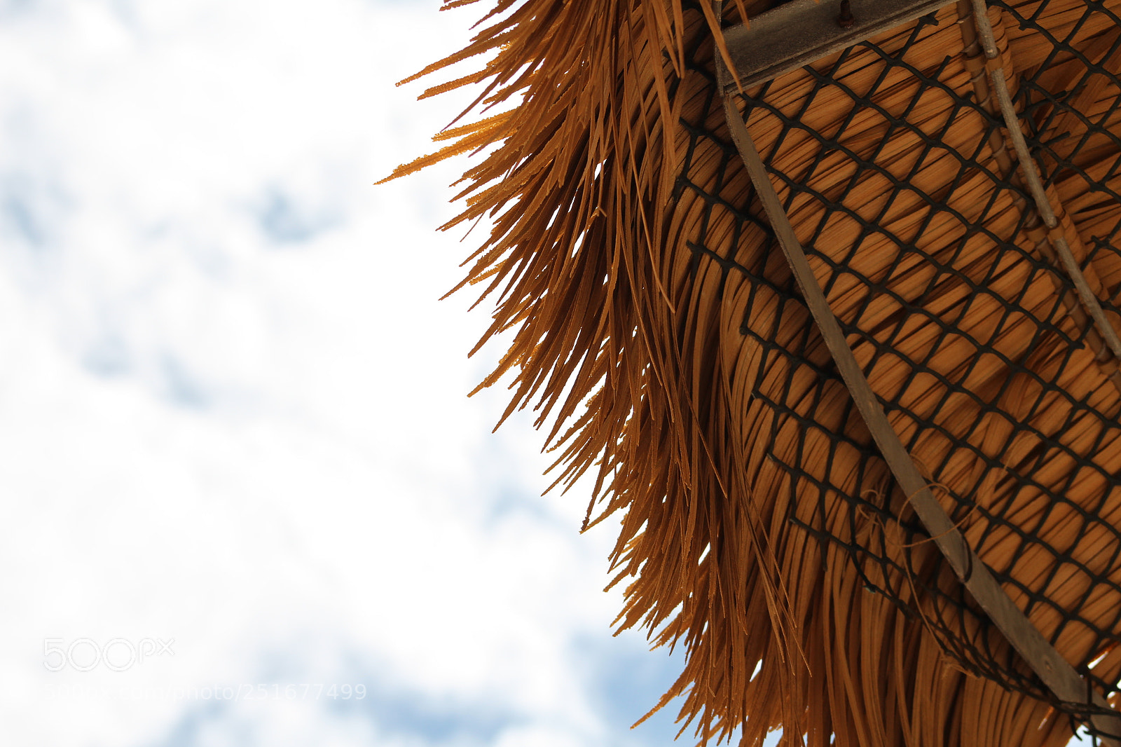 Canon EF 75-300mm f/4-5.6 sample photo. Img photography