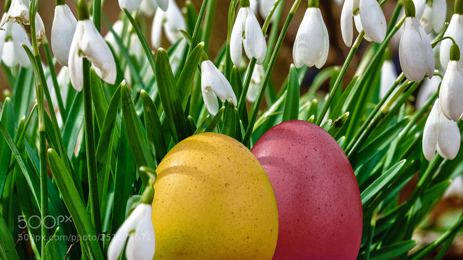 Sony ILCA-77M2 sample photo. Happy easter photography