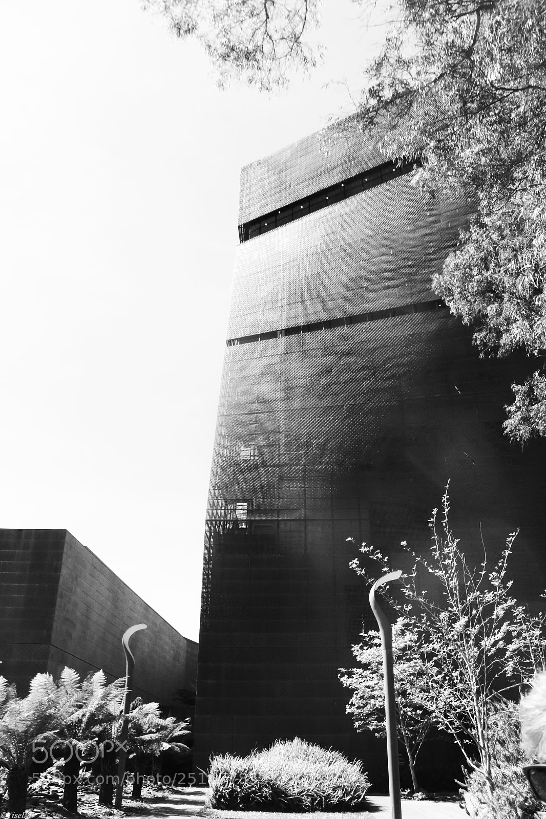 Canon EOS 70D sample photo. De young museum photography