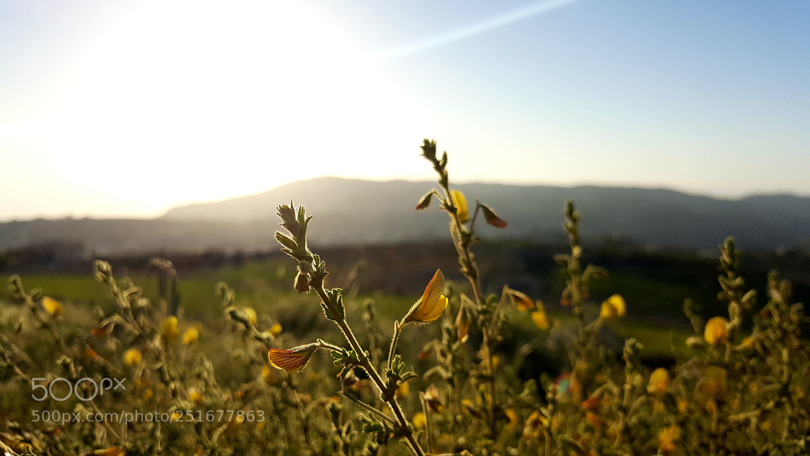 Samsung Galaxy Note5 sample photo. Spring photography