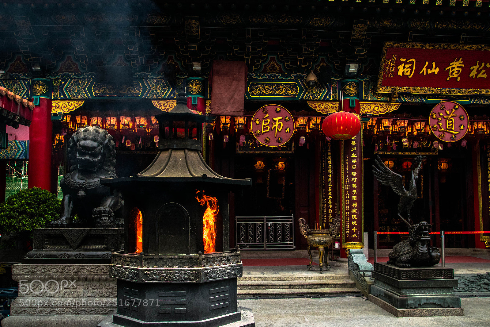 Nikon D5300 sample photo. Untamable flame photography