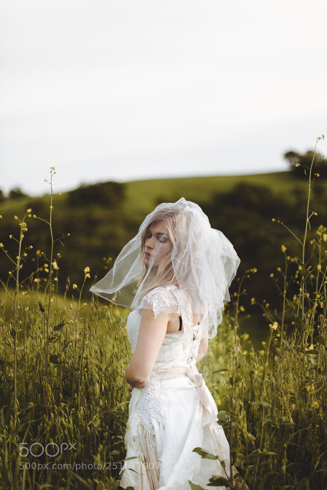 Canon EOS 5D Mark II sample photo. Valley photography