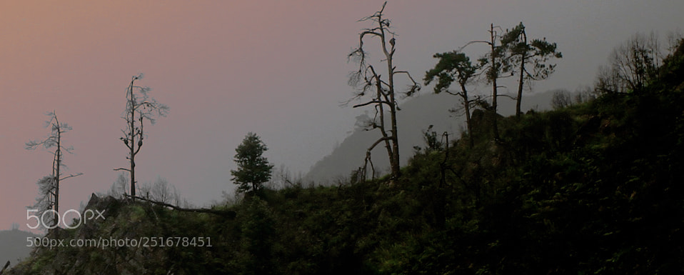 Canon EOS 7D sample photo. Untitled photography