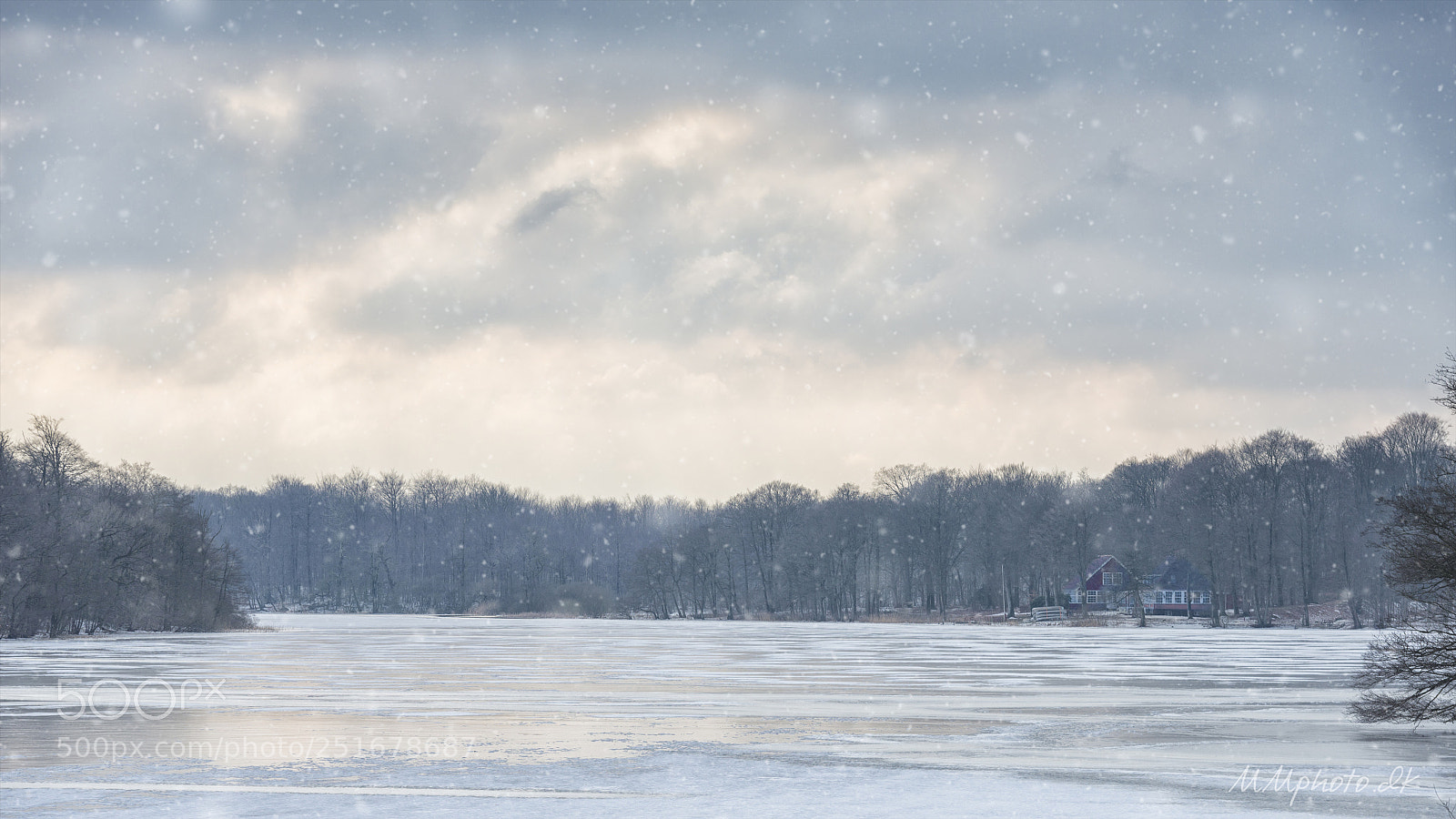 Nikon D800 sample photo. Winter day jels photography