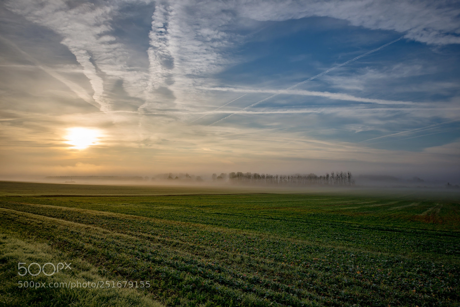 Nikon D600 sample photo. Misty photography