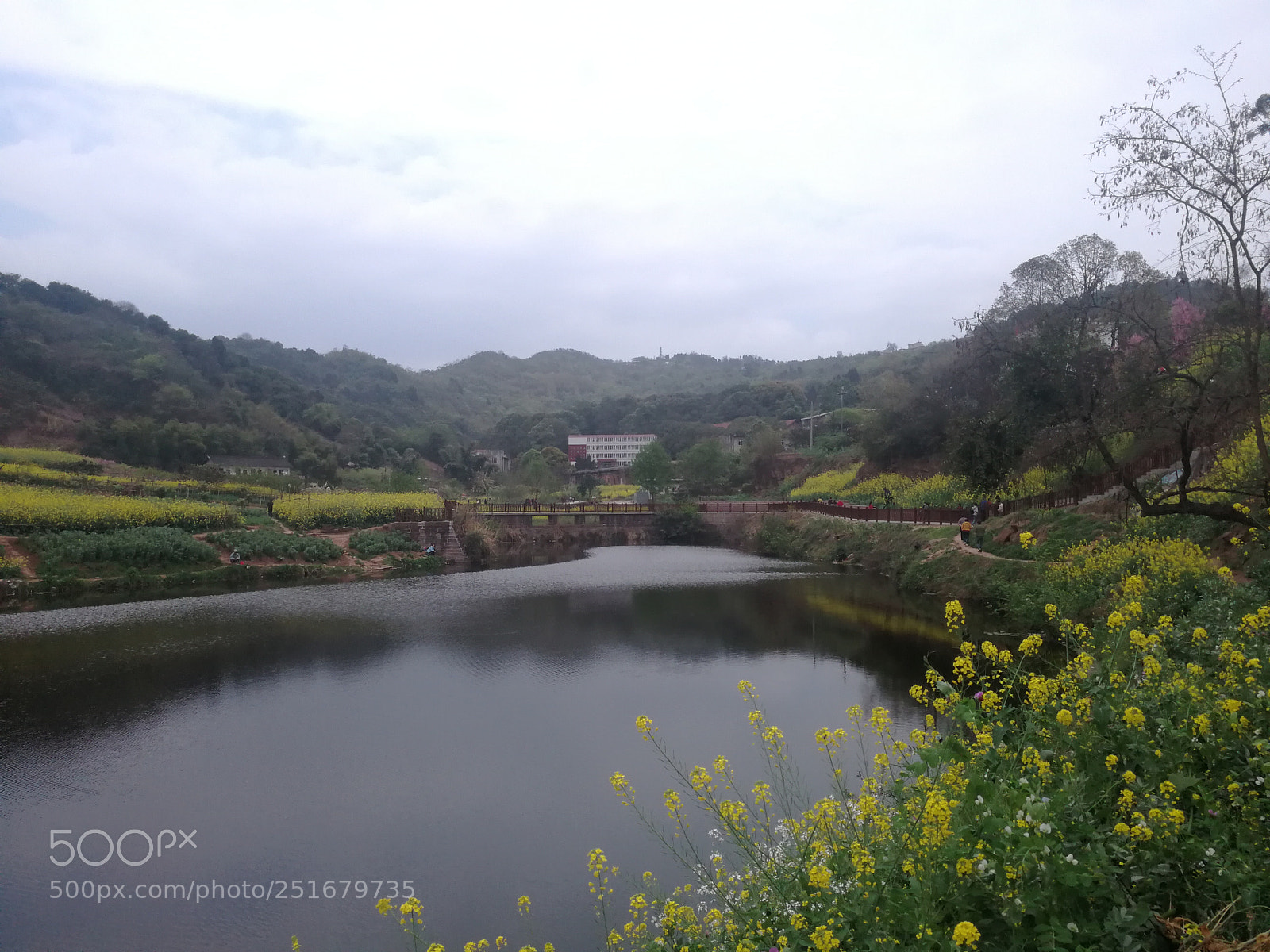 HUAWEI Mate 9 sample photo. Untitled photography