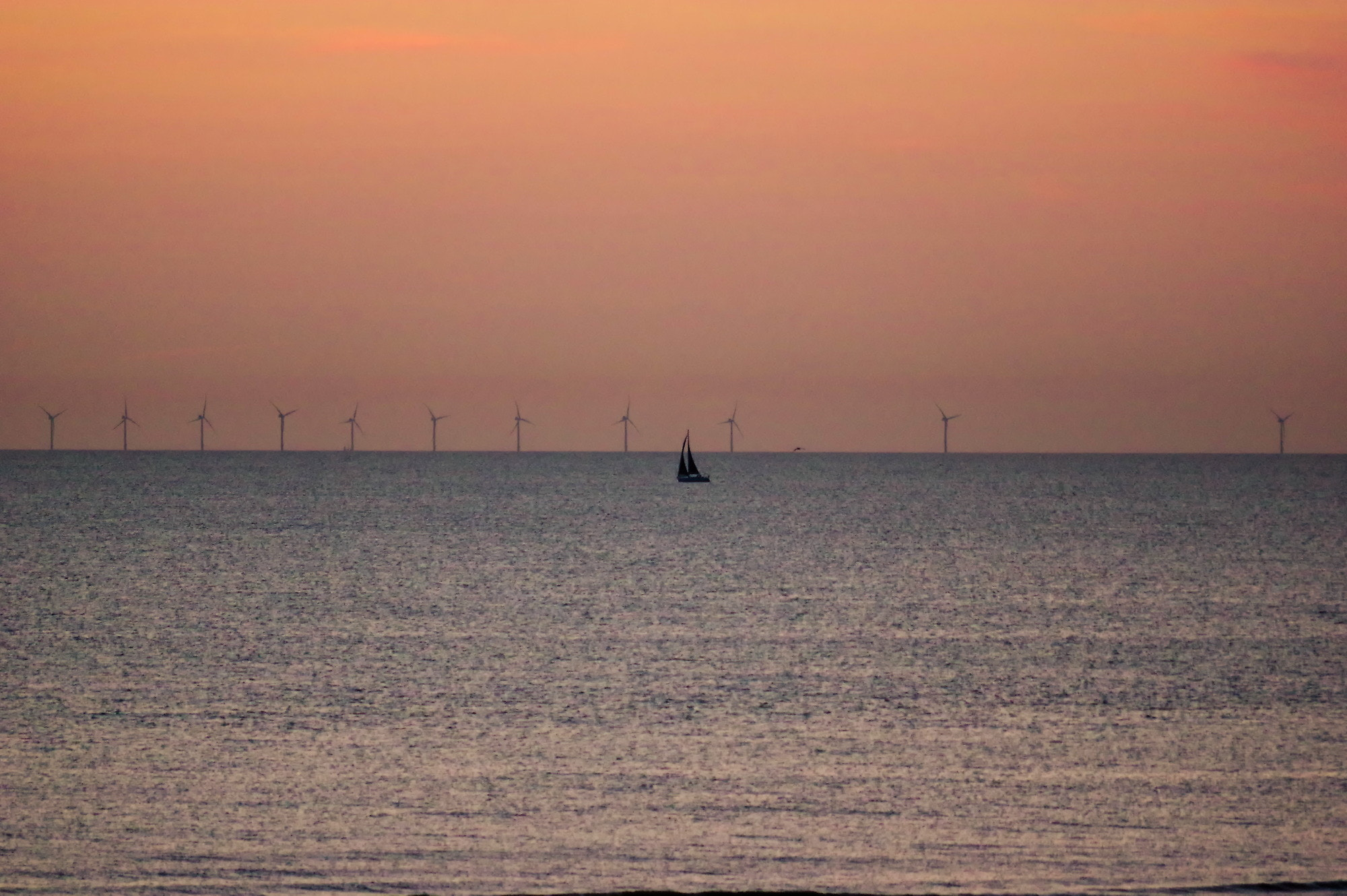 smc PENTAX-DA L 50-200mm F4-5.6 ED sample photo. Wind power photography