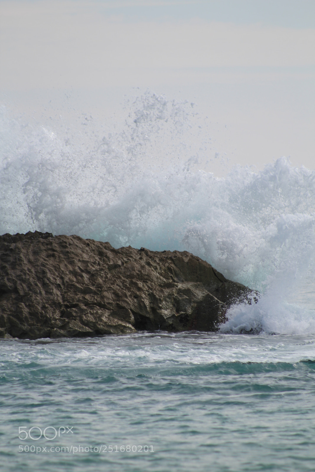 Canon EF 75-300mm f/4-5.6 sample photo. Phone wallpaper photography