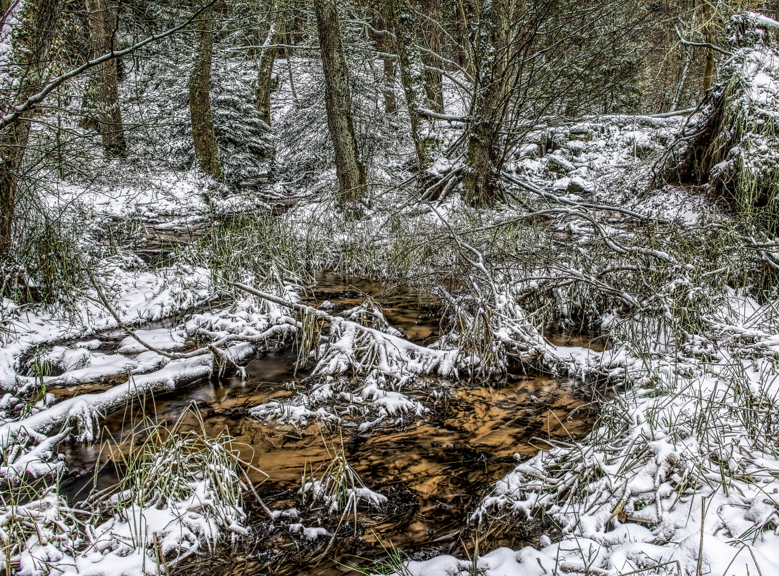 Nikon D7100 sample photo. Creek33 photography