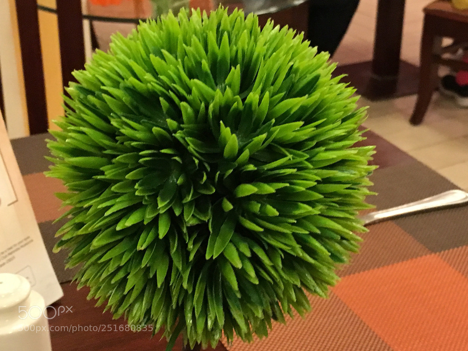 Apple iPhone 6s sample photo. If only the earth photography
