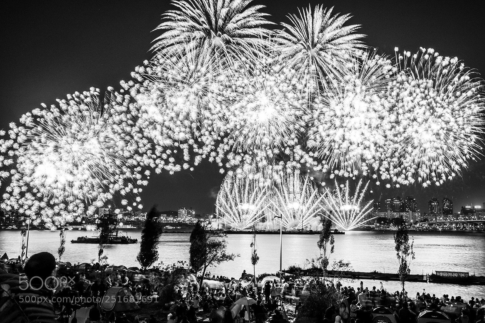 Fujifilm X-E1 sample photo. Firework in seoul photography